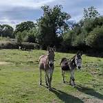 Le Logis Des Poneys Fringants