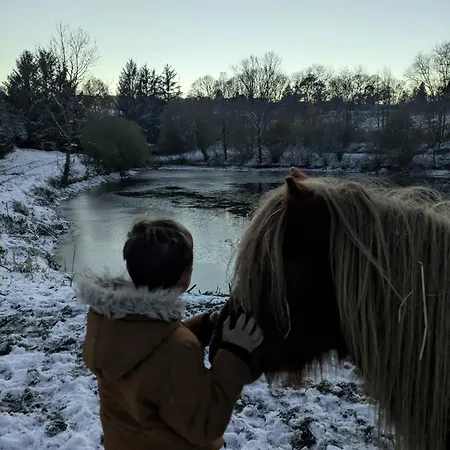 Le Logis Des Poneys Fringants Hébergement de vacances *