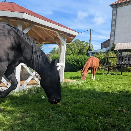 Le Logis Des Poneys Fringants Hébergement de vacances *