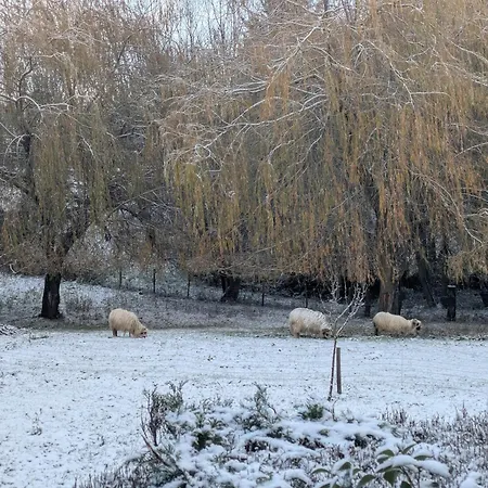Le Logis Des Poneys Fringants