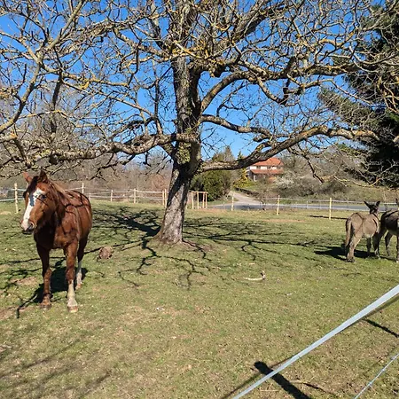 Hébergement de vacances Le Logis Des Poneys Fringants