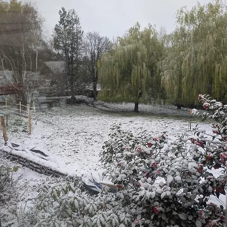 Le Logis Des Poneys Fringants *